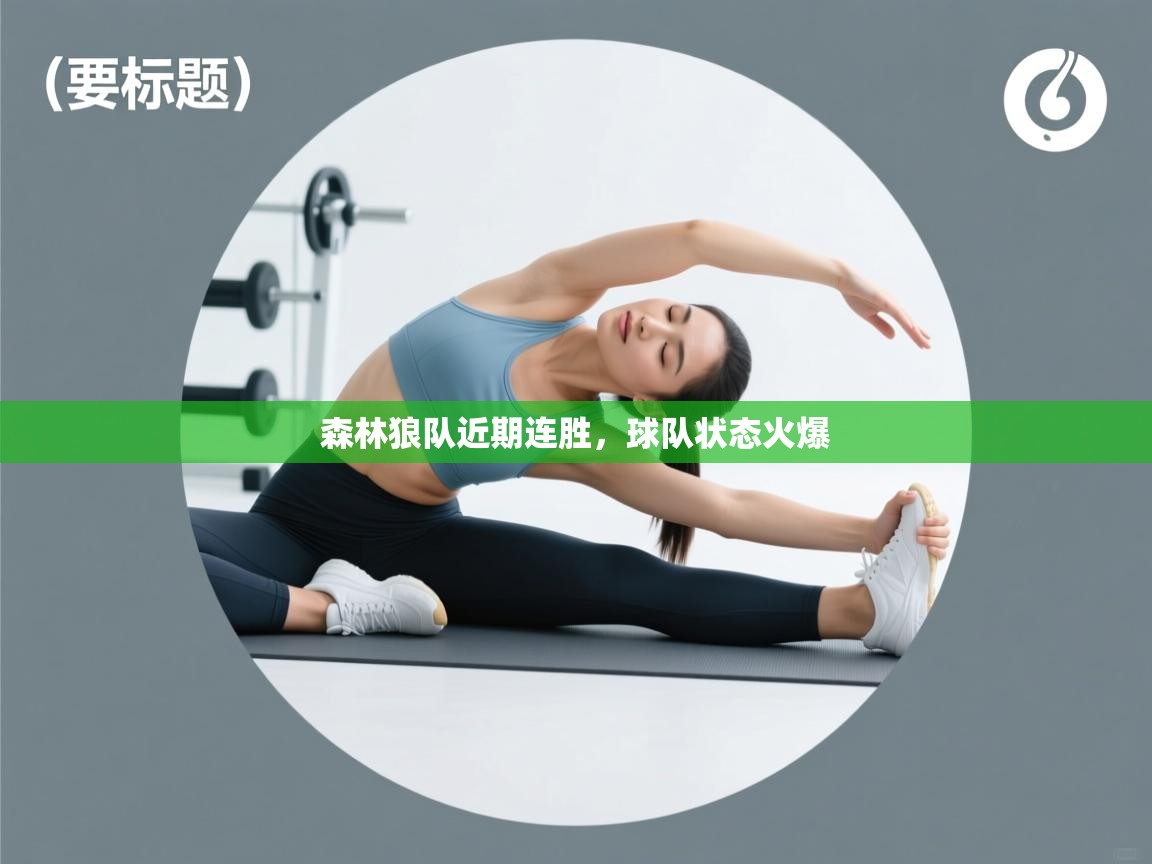 爱游戏平台-森林狼队近期连胜,球队状态火爆 第2张