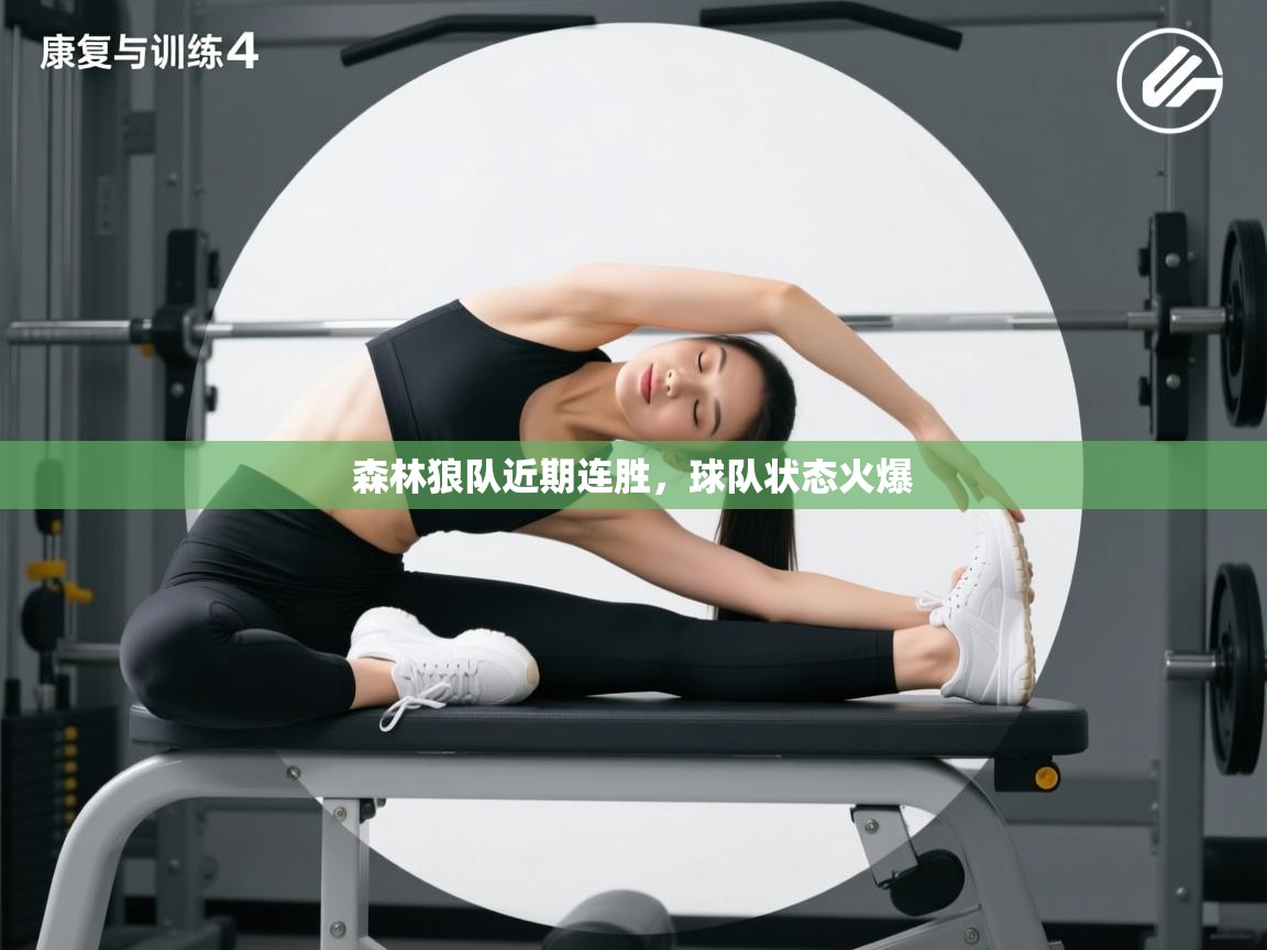 爱游戏平台-森林狼队近期连胜,球队状态火爆 第3张