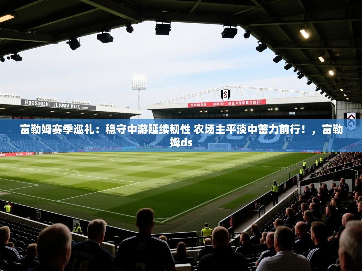 爱游戏体育-富勒姆赛季巡礼:稳守中游延续韧性 农场主平淡中蓄力前行!,富勒姆ds 第1张