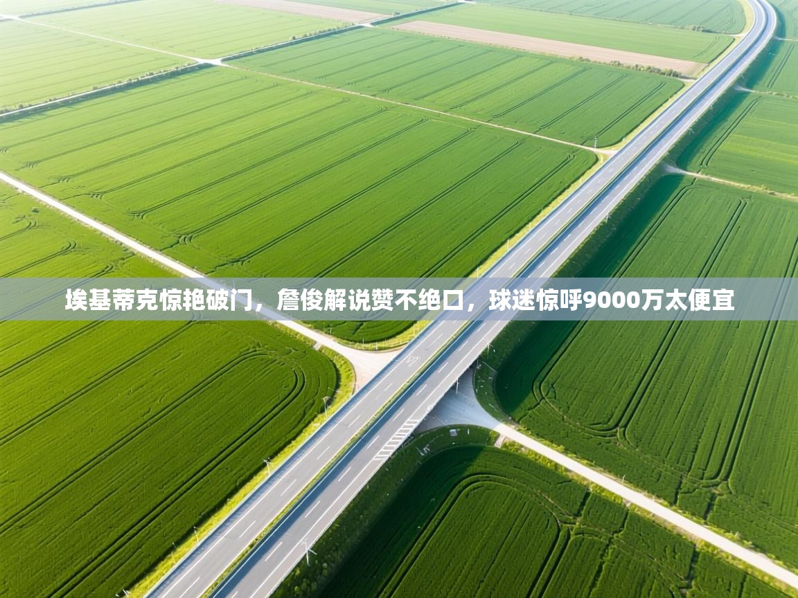 趣玩体育nba直播-埃基蒂克惊艳破门，詹俊解说赞不绝口，球迷惊呼9000万太便宜  第1张