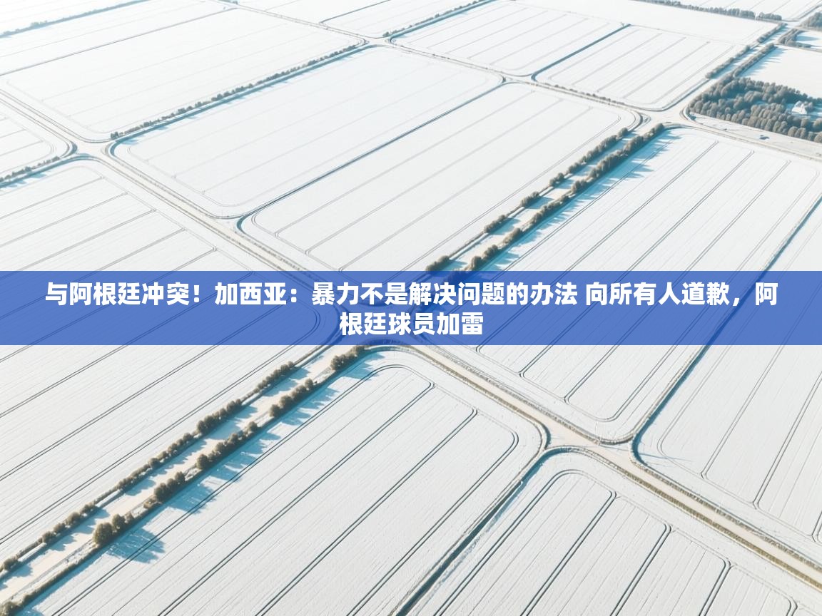 爱游戏 ayx 中国官方网站_ayx sports-与阿根廷冲突！加西亚：暴力不是解决问题的办法 向所有人道歉，阿根廷球员加雷  第1张