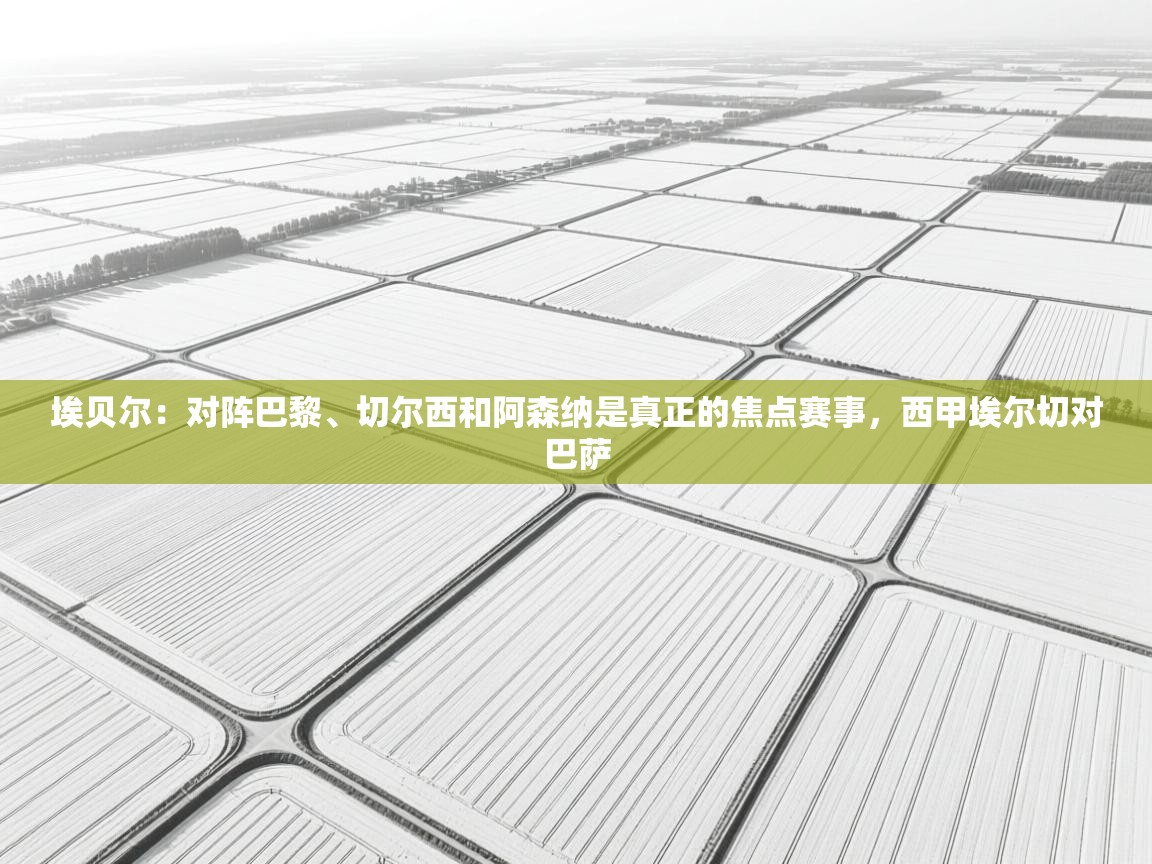 爱游戏体育娱乐赞助意甲-埃贝尔：对阵巴黎、切尔西和阿森纳是真正的焦点赛事，西甲埃尔切对巴萨  第3张
