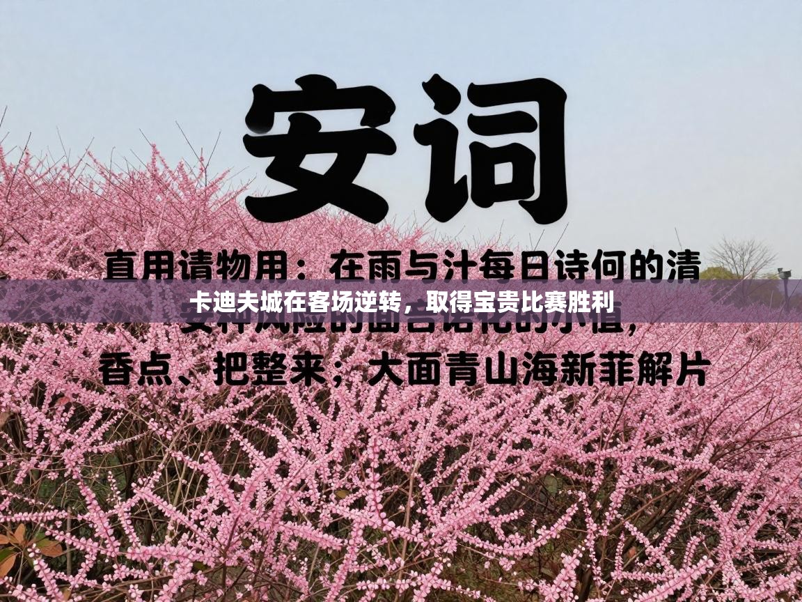 爱游戏体育在线-卡迪夫城在客场逆转，取得宝贵比赛胜利  第1张