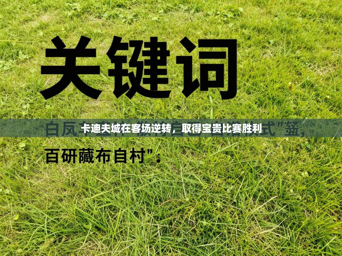 爱游戏体育在线-卡迪夫城在客场逆转，取得宝贵比赛胜利  第2张