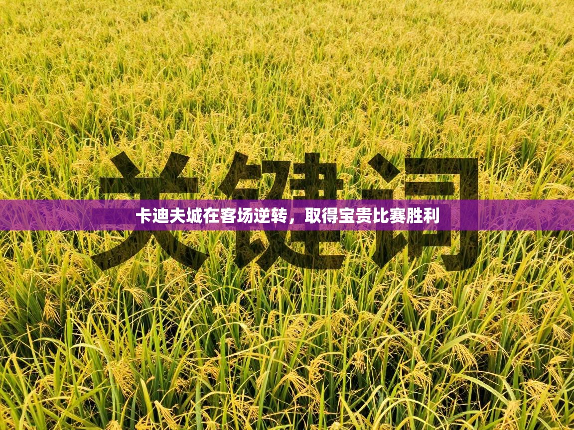 爱游戏体育在线-卡迪夫城在客场逆转，取得宝贵比赛胜利  第4张