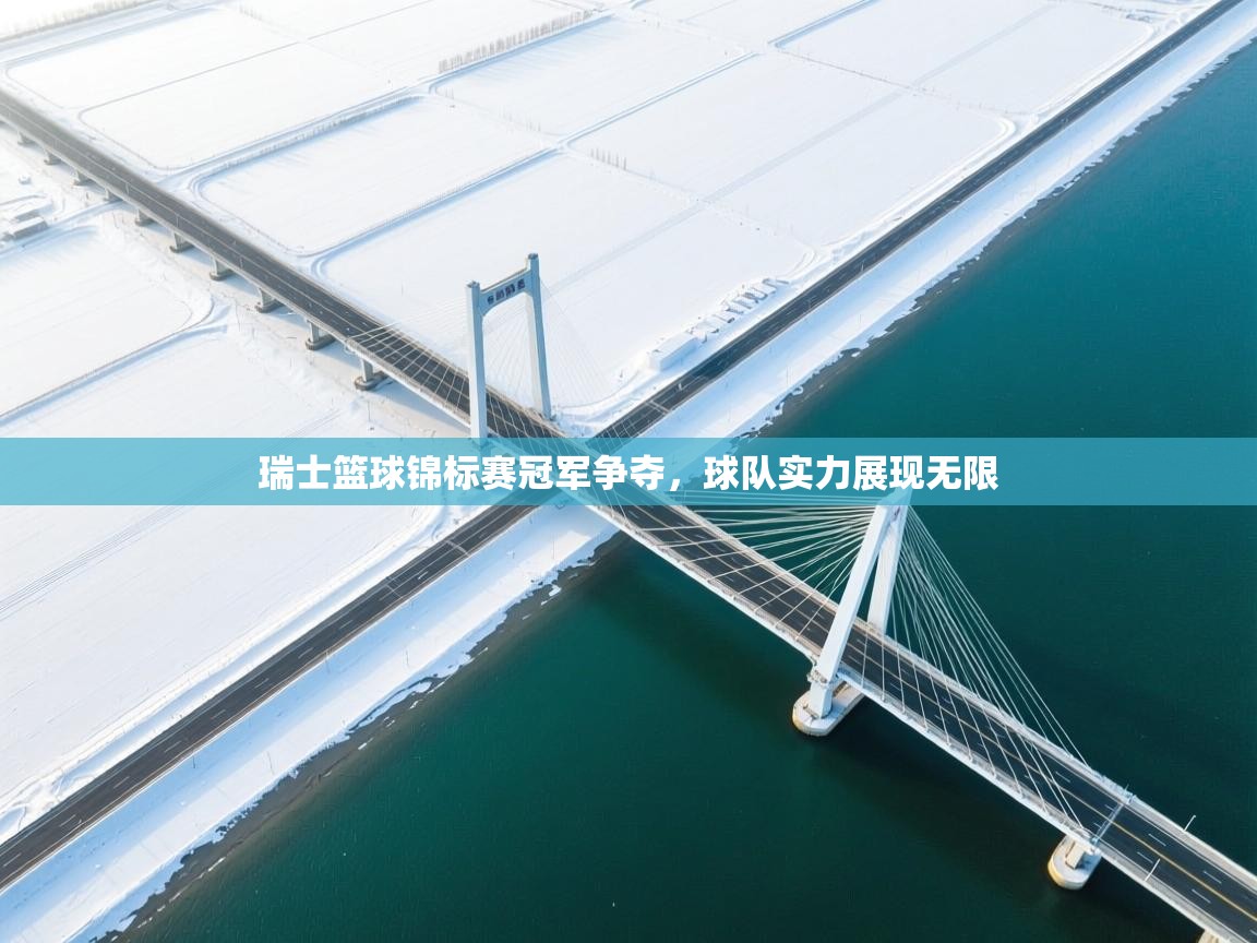 爱游戏-瑞士篮球锦标赛冠军争夺，球队实力展现无限  第3张