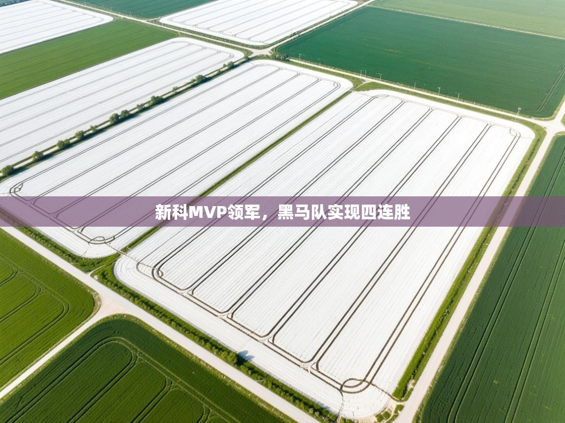 爱游戏平台官网入口-新科MVP领军，黑马队实现四连胜  第2张
