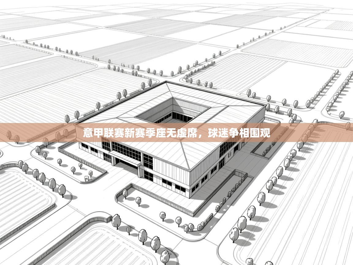 爱游戏体育官网-意甲联赛新赛季座无虚席，球迷争相围观  第2张