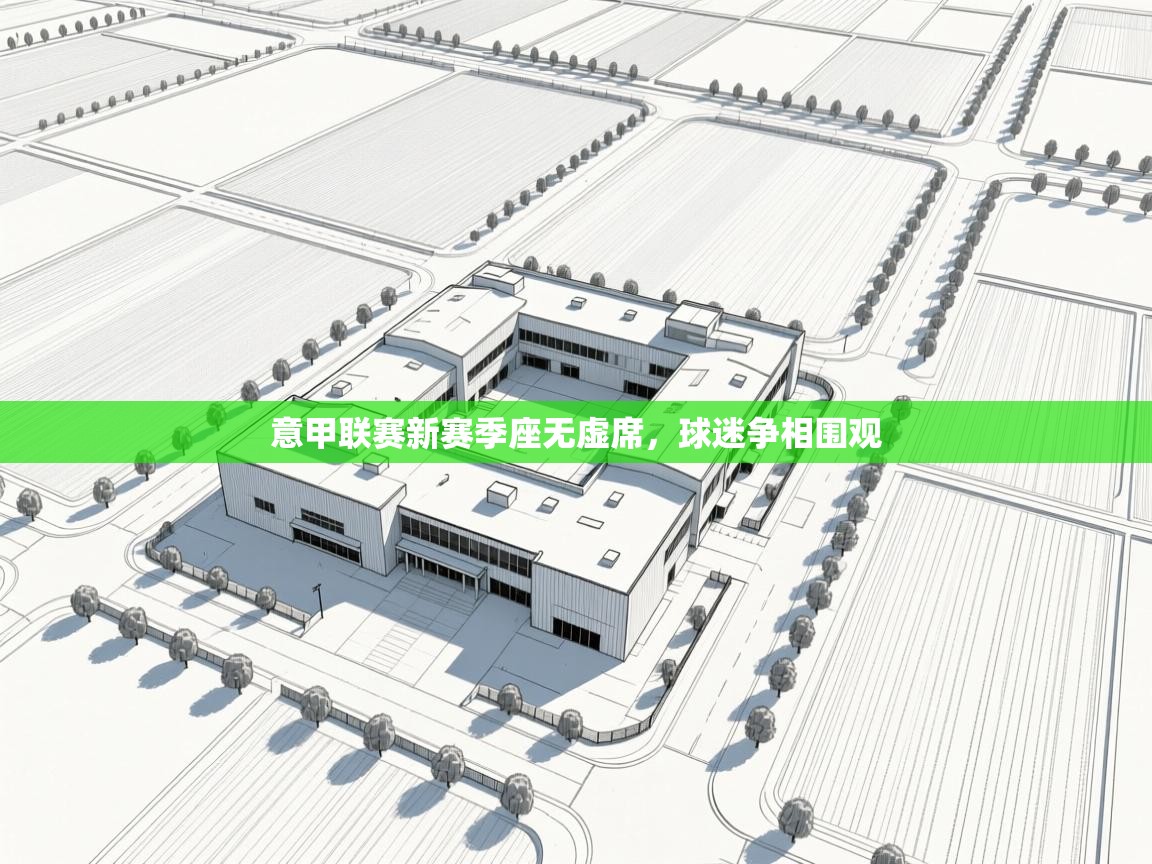 爱游戏体育官网-意甲联赛新赛季座无虚席，球迷争相围观  第3张