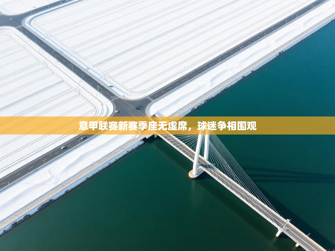 爱游戏体育官网-意甲联赛新赛季座无虚席，球迷争相围观  第4张