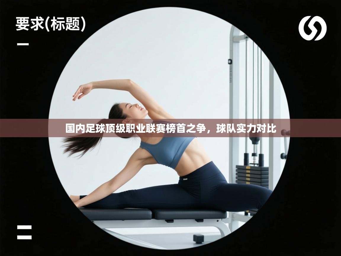 爱游戏体育下载-国内足球顶级职业联赛榜首之争，球队实力对比