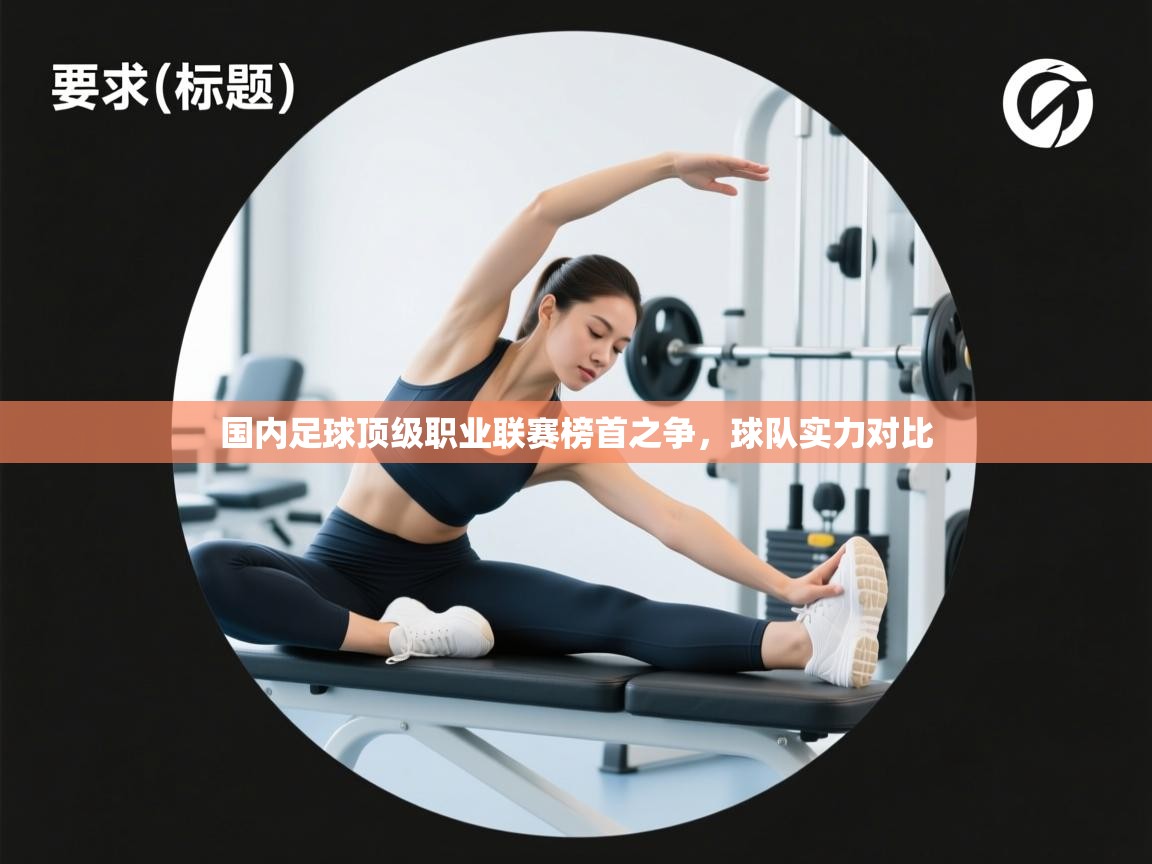 爱游戏体育下载-国内足球顶级职业联赛榜首之争,球队实力对比 第2张