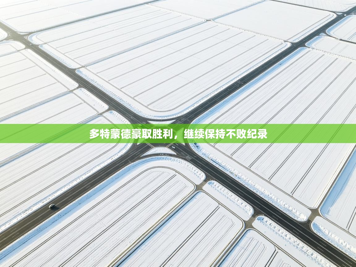 爱游戏体育app-多特蒙德豪取胜利，继续保持不败纪录