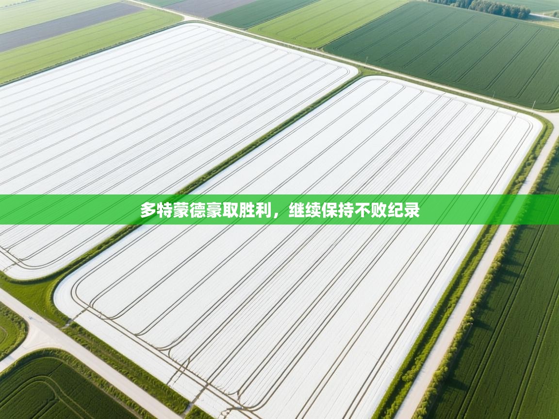 爱游戏体育app-多特蒙德豪取胜利，继续保持不败纪录  第4张