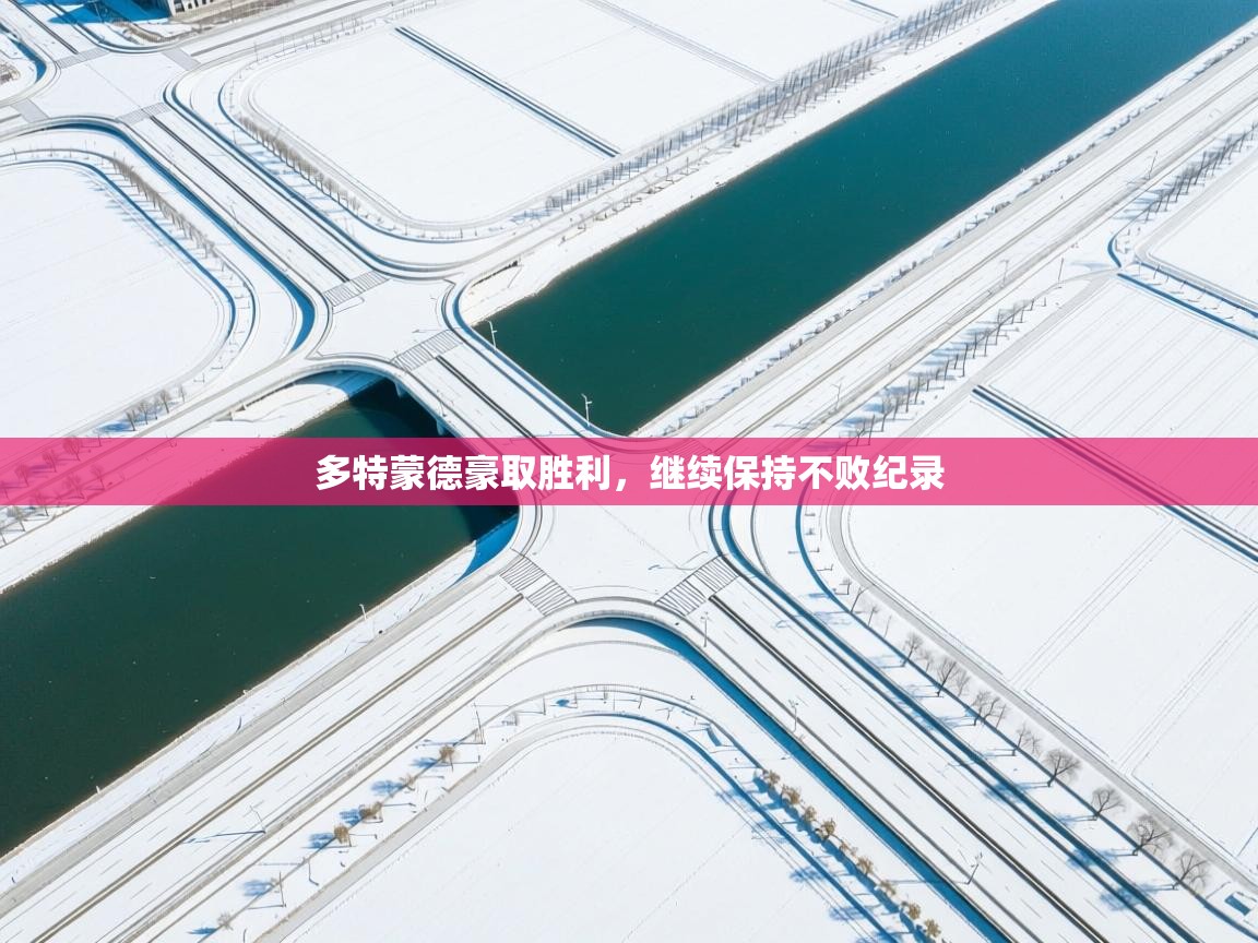 爱游戏体育app-多特蒙德豪取胜利，继续保持不败纪录  第3张