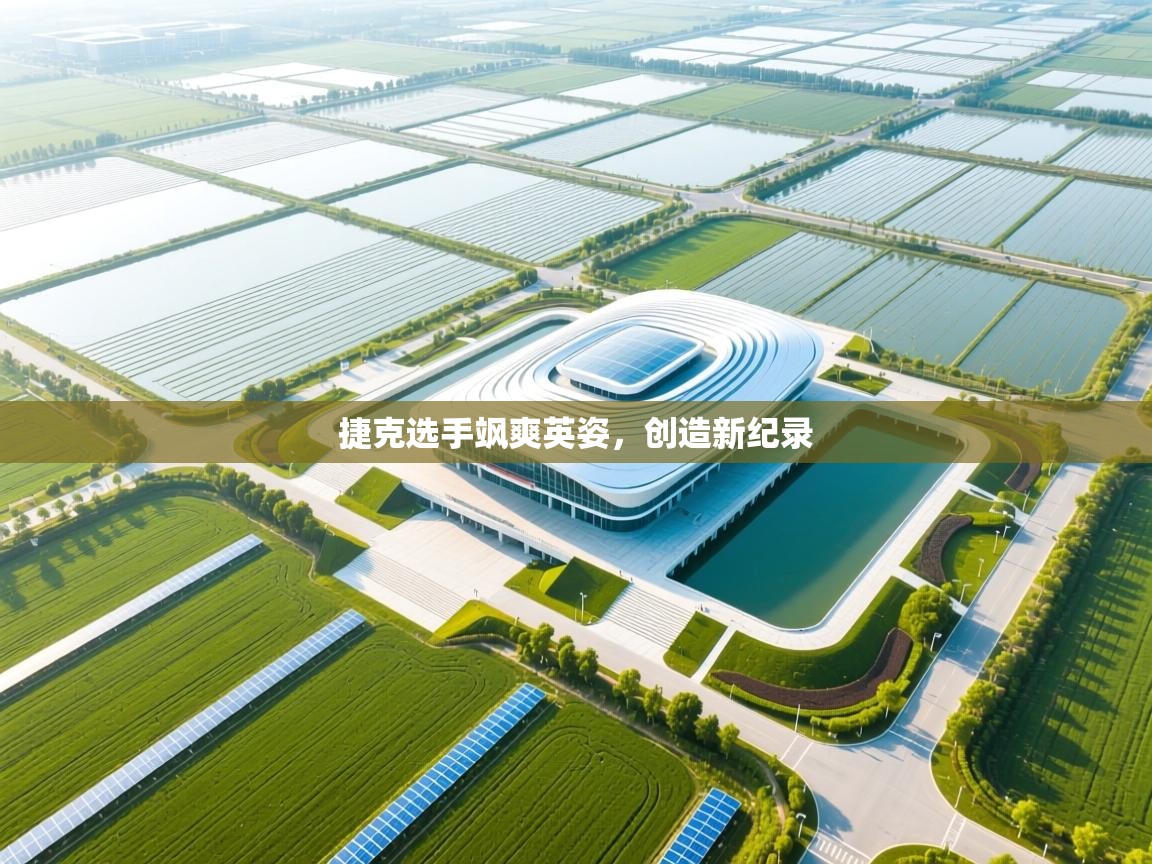 爱游戏娱乐体育官方入口-捷克选手飒爽英姿，创造新纪录  第2张