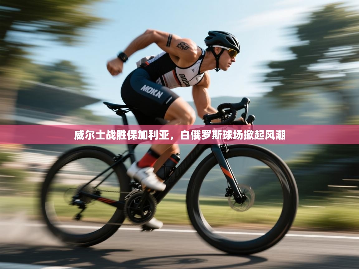 爱体育游戏网站-威尔士战胜保加利亚，白俄罗斯球场掀起风潮