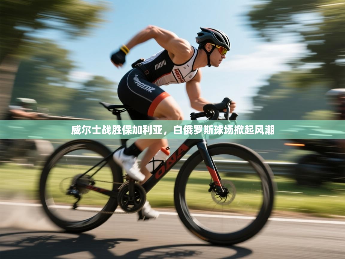 爱体育游戏网站-威尔士战胜保加利亚,白俄罗斯球场掀起风潮 第3张