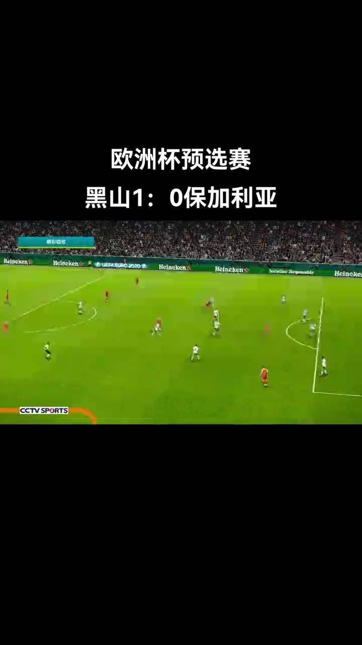 乐动体育全站-包含欧洲国家杯预选赛实力对决，胜败纠纷场场戏剧的词条